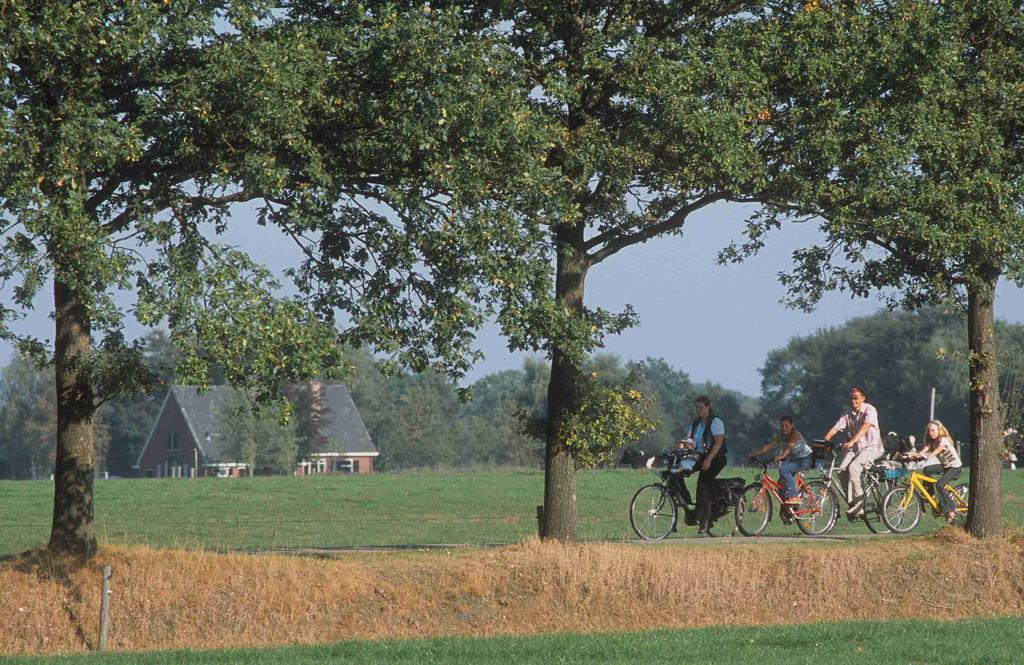 Camping Het Wieskamp Henxel 外观 照片